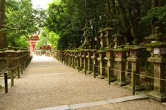 春日大社参道