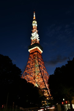 東京タワー②
