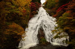 湯滝①
