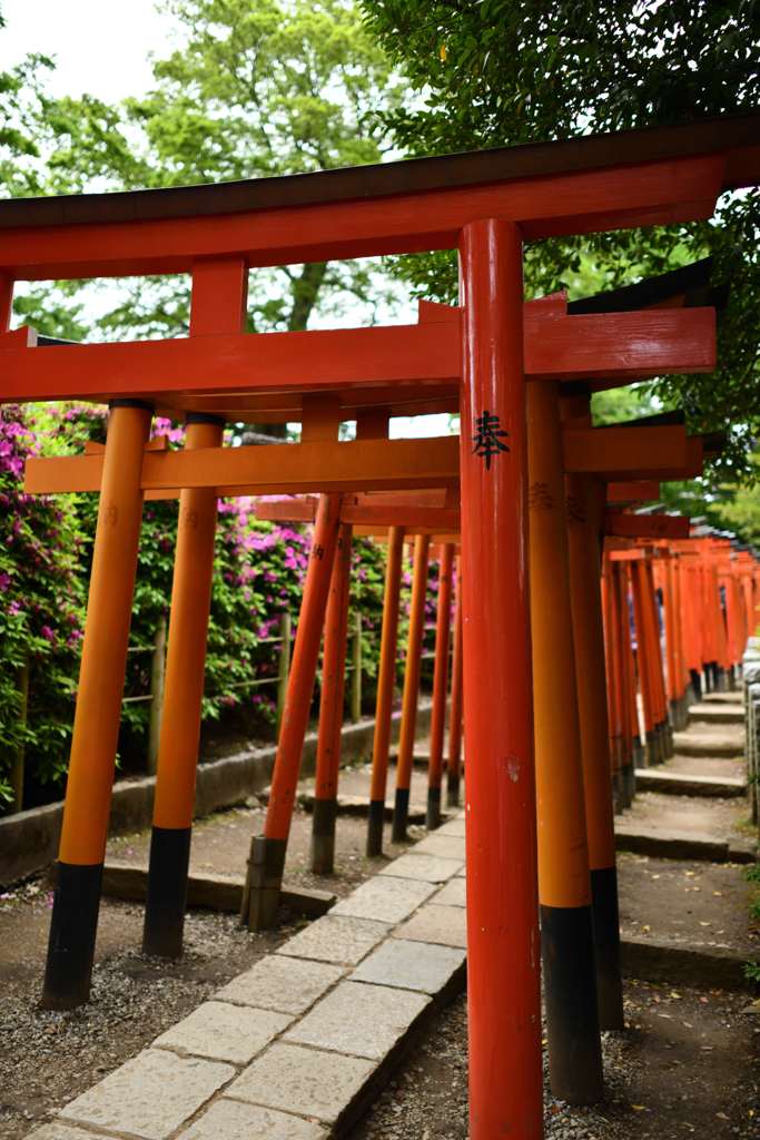 根津神社鳥居