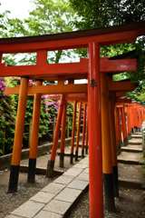 根津神社鳥居
