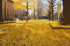 親子散歩＠両国