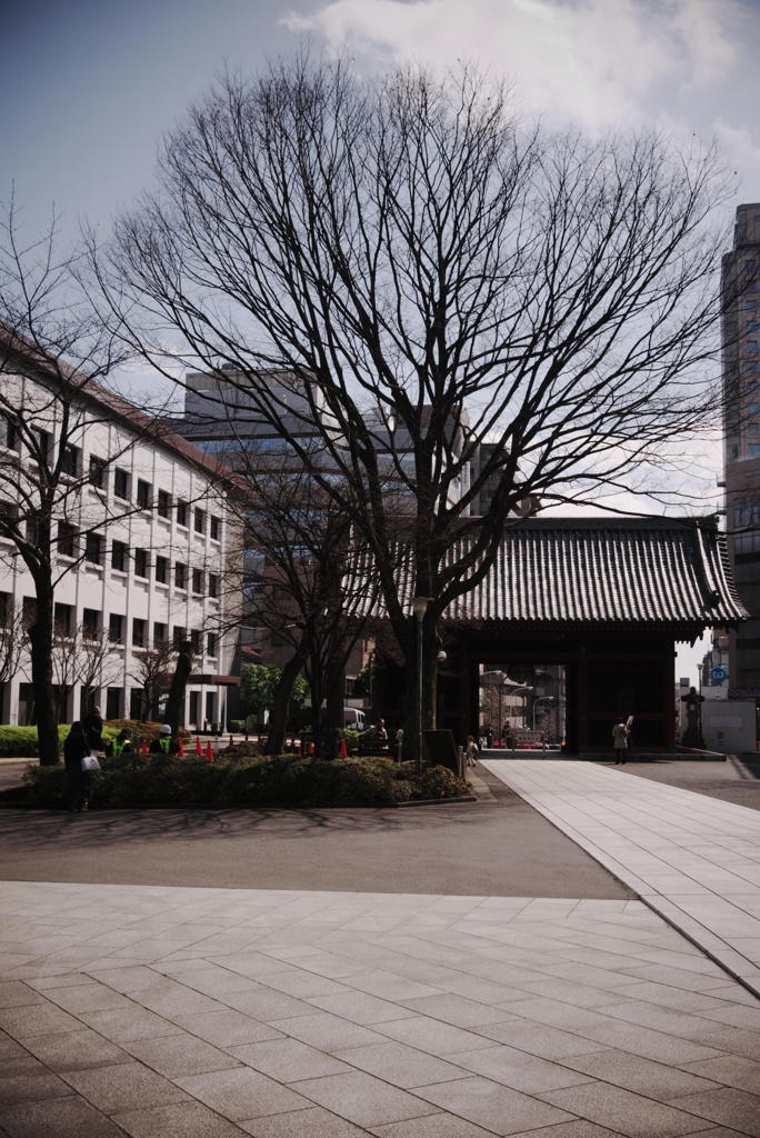 護国寺スナップ（２）