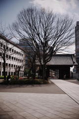 護国寺スナップ（２）