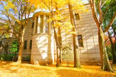 再）銀杏巡り(4)