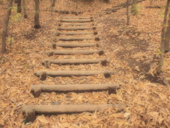 落ち葉と階段