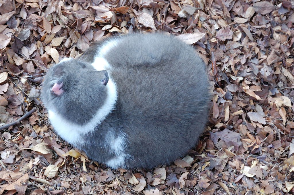 数か月ぶりの再会