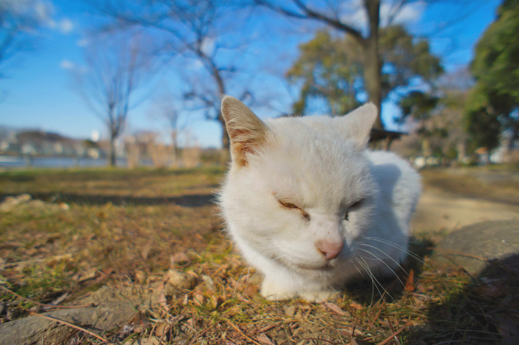 そぉ～っと、近づいてみた(^.^)