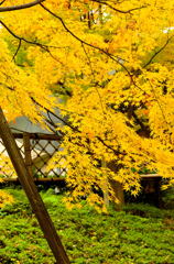 飛鳥山散策（４）