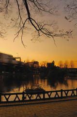 帰路スナップ（２）