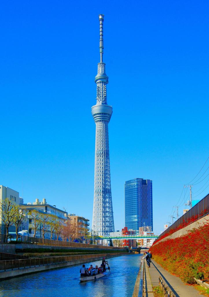 本日は晴天なり
