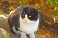 久しぶりに出会う(^.^)