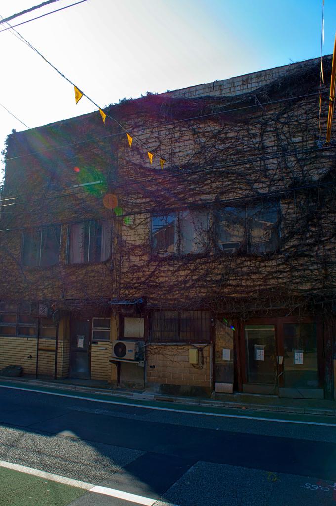 文京区スナップ