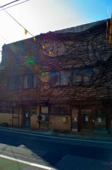 文京区スナップ