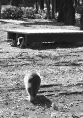 おうちに帰ろっと！