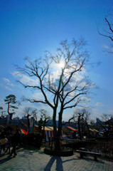 休日の風景（２）