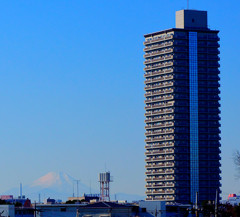 富士山 from 荒川河川敷