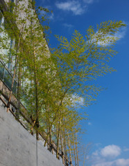 なんとなく。。。