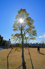 お散歩日和（寒いですけど）