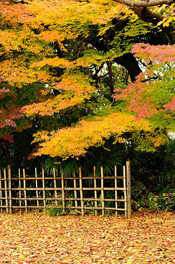 飛鳥山散策（１）