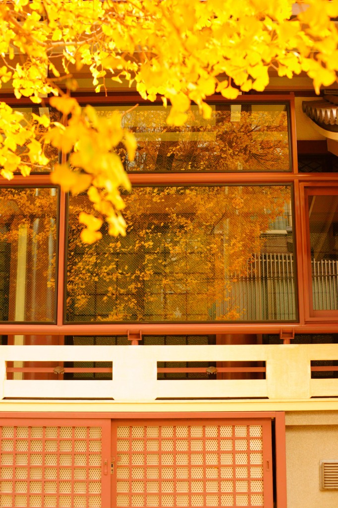 高岩寺（２）