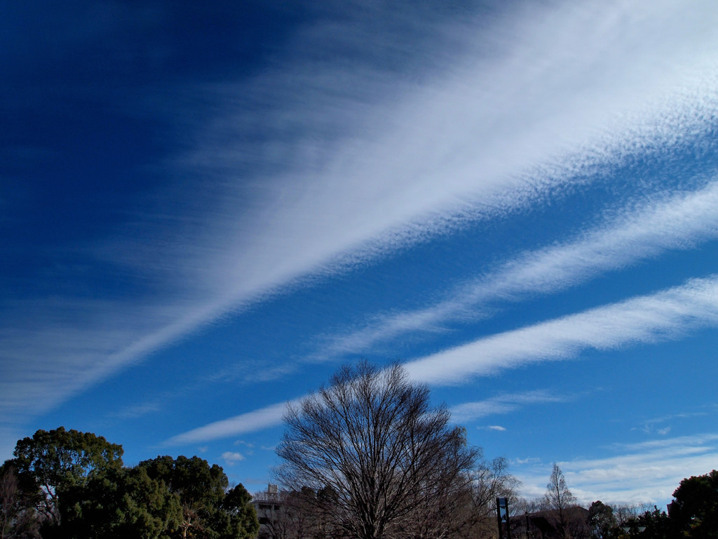 青空スナップ（１）