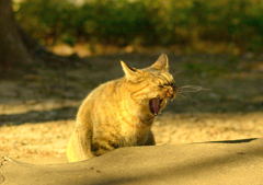 退屈な男ですみません<m(__)m>