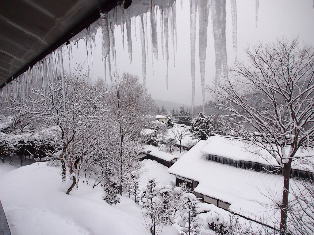 雪の里