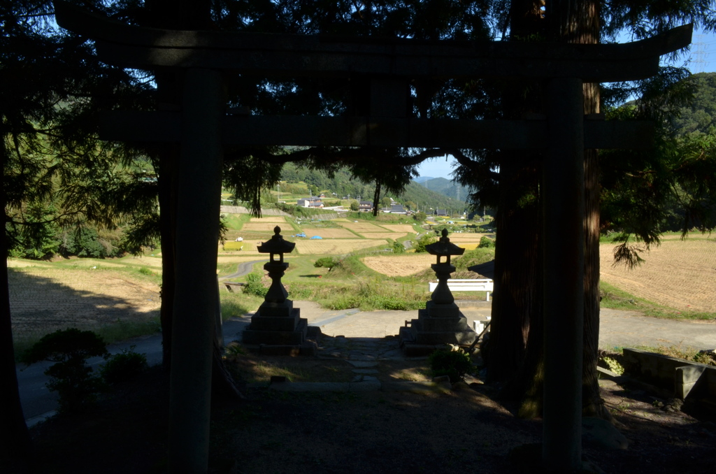 神社の階段から