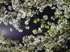 P1020582