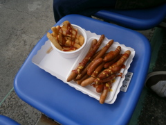 ヤクルト-阪神＠神宮　オープン戦