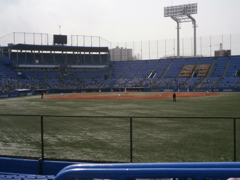 ヤクルト-阪神＠神宮　オープン戦