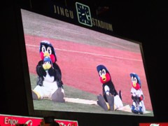 ヤクルト-広島＠神宮