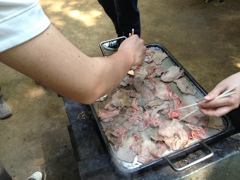BBQ＠清水公園