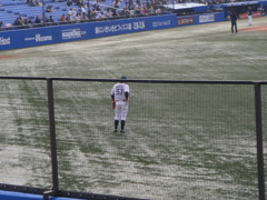 ヤクルト-阪神＠神宮　オープン戦