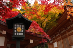 高幡不動