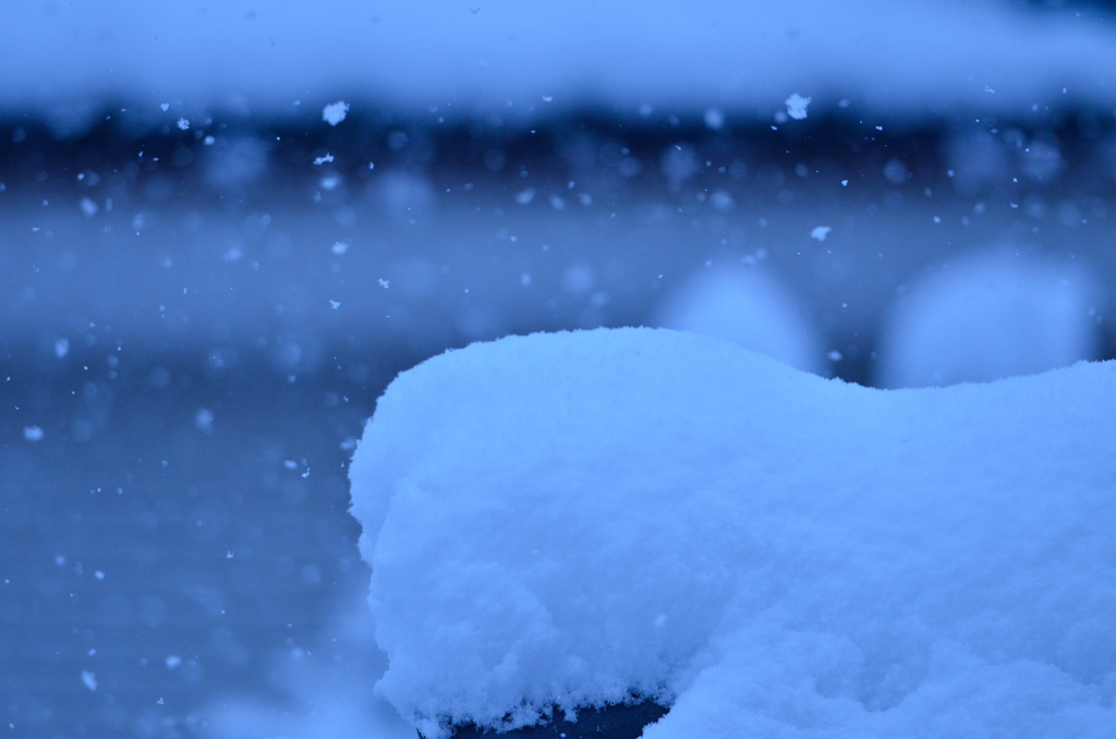 降雪