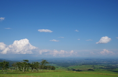 IMGP0241