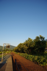 IMGP0260