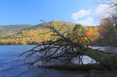 湯ノ湖