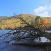 湯ノ湖