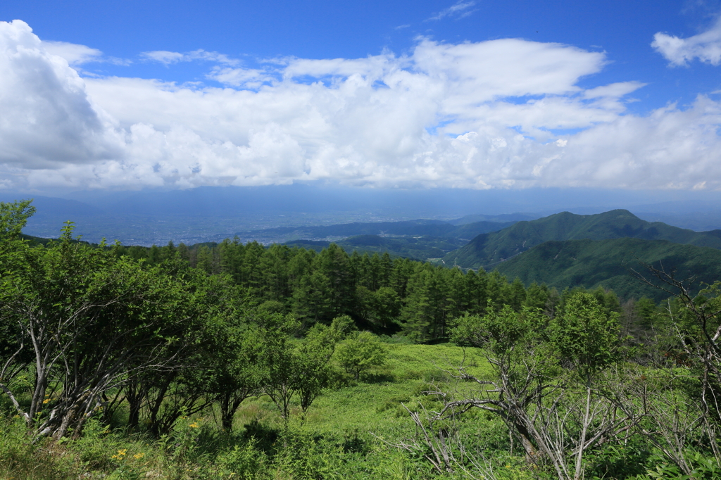 美ヶ原高原道路①