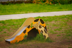 西堀ふれあい公園　春　①