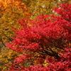 奥日光②