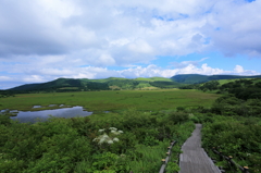 八島湿原①