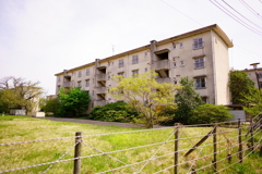 廃墟　2025年　春　⑤