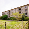 廃墟　2025年　春　⑤