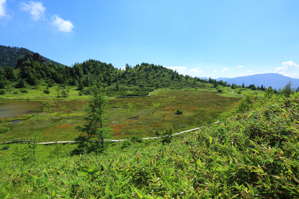 志賀草津道路④