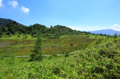 志賀草津道路④