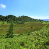 志賀草津道路④
